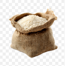 HOJE SITE